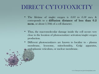 • The lifetime of singlet oxygen is 0.03 to 0.18 mcs, &
corresponds to a diffusion distance of less than 0.2
mcm, or about 1/50th of a cell diameter.
• Thus, the macromolecular damage inside the cell occurs very
close to the location of photosensitizer activation/singlet oxygen
production.
• Different photosensitizers are known to localize to - plasma
membrane, lysosome, mitochondria, Golgi apparatus,
endoplasmic reticulum, or nuclear membrane.
DIRECT CYTOTOXICITY
 