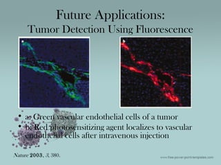 • a: Green vascular endothelial cells of a tumor
• b: Red photosensitizing agent localizes to vascular
endothelial cells after intravenous injection
Future Applications:
Tumor Detection Using Fluorescence
Nature 2003, 3, 380.
 