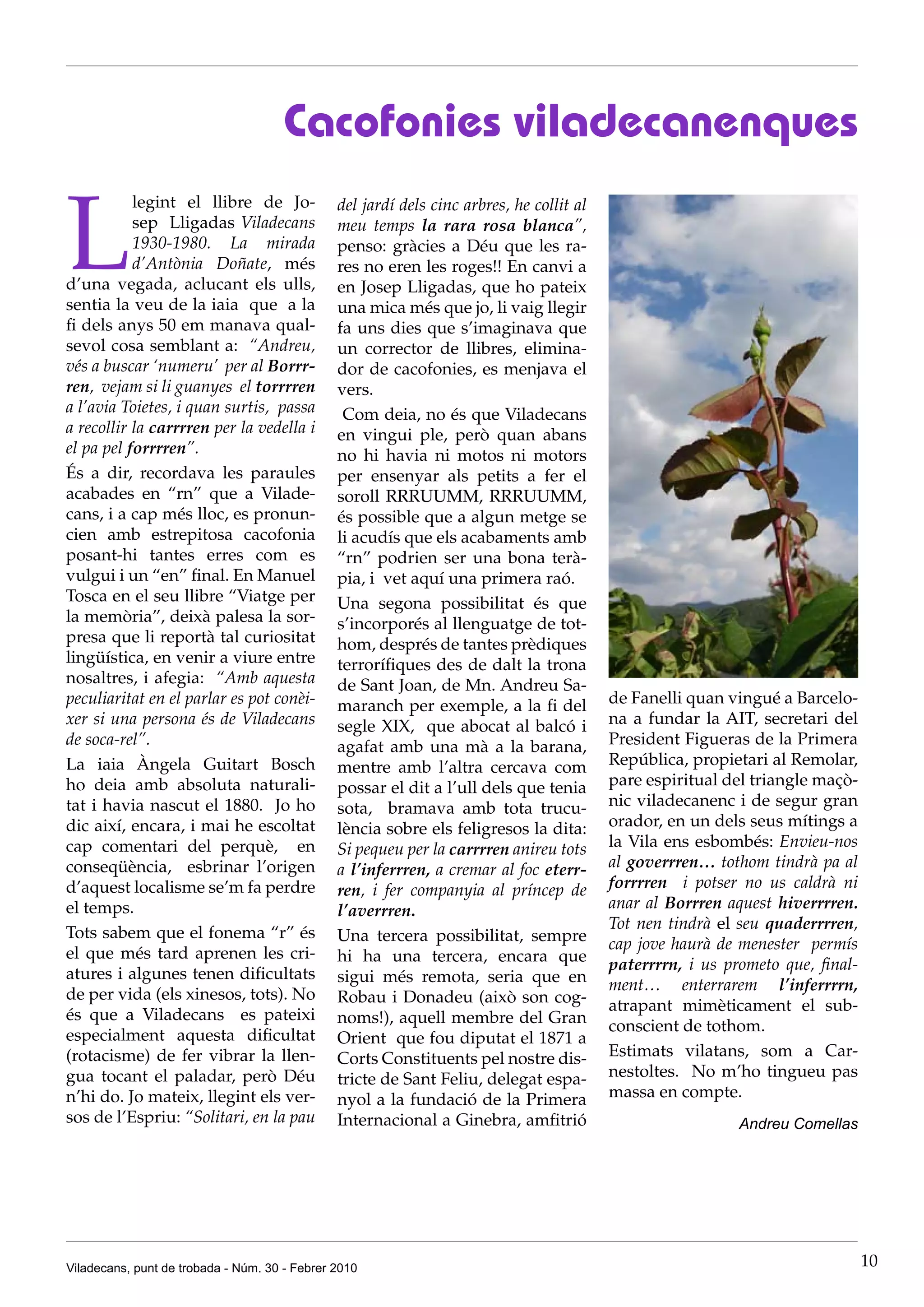 Cacofonies viladecanenques

L
           legint el llibre de Jo-             del jardí dels cinc arbres, he collit al
           sep Lligadas Viladecans             meu temps la rara rosa blanca”,
           1930-1980. La mirada                penso: gràcies a Déu que les ra-
           d’Antònia Doñate, més               res no eren les roges!! En canvi a
d’una vegada, aclucant els ulls,               en Josep Lligadas, que ho pateix
sentia la veu de la iaia que a la              una mica més que jo, li vaig llegir
fi dels anys 50 em manava qual-                fa uns dies que s’imaginava que
sevol cosa semblant a: “Andreu,                un corrector de llibres, elimina-
vés a buscar ‘numeru’ per al Borrr-            dor de cacofonies, es menjava el
ren, vejam si li guanyes el torrrren           vers.
a l’avia Toietes, i quan surtis, passa          Com deia, no és que Viladecans
a recollir la carrrren per la vedella i        en vingui ple, però quan abans
el pa pel forrrren”.                           no hi havia ni motos ni motors
És a dir, recordava les paraules               per ensenyar als petits a fer el
acabades en “rn” que a Vilade-                 soroll RRRUUMM, RRRUUMM,
cans, i a cap més lloc, es pronun-             és possible que a algun metge se
cien amb estrepitosa cacofonia                 li acudís que els acabaments amb
posant-hi tantes erres com es                  “rn” podrien ser una bona terà-
vulgui i un “en” final. En Manuel              pia, i vet aquí una primera raó.
Tosca en el seu llibre “Viatge per             Una segona possibilitat és que
la memòria”, deixà palesa la sor-              s’incorporés al llenguatge de tot-
presa que li reportà tal curiositat            hom, després de tantes prèdiques
lingüística, en venir a viure entre            terrorífiques des de dalt la trona
nosaltres, i afegia: “Amb aquesta              de Sant Joan, de Mn. Andreu Sa-
peculiaritat en el parlar es pot conèi-        maranch per exemple, a la fi del           de Fanelli quan vingué a Barcelo-
xer si una persona és de Viladecans            segle XIX, que abocat al balcó i           na a fundar la AIT, secretari del
de soca-rel”.                                  agafat amb una mà a la barana,             President Figueras de la Primera
La iaia Àngela Guitart Bosch                   mentre amb l’altra cercava com             República, propietari al Remolar,
ho deia amb absoluta naturali-                 possar el dit a l’ull dels que tenia       pare espiritual del triangle maçò-
tat i havia nascut el 1880. Jo ho              sota, bramava amb tota trucu-              nic viladecanenc i de segur gran
dic així, encara, i mai he escoltat            lència sobre els feligresos la dita:       orador, en un dels seus mítings a
cap comentari del perquè, en                   Si pequeu per la carrrren anireu tots      la Vila ens esbombés: Envieu-nos
conseqüència, esbrinar l’origen                a l’inferrren, a cremar al foc eterr-      al goverrren… tothom tindrà pa al
d’aquest localisme se’m fa perdre              ren, i fer companyia al príncep de         forrrren i potser no us caldrà ni
el temps.                                      l’averrren.                                anar al Borrren aquest hiverrrren.
                                                                                          Tot nen tindrà el seu quaderrrren,
Tots sabem que el fonema “r” és                Una tercera possibilitat, sempre           cap jove haurà de menester permís
el que més tard aprenen les cri-               hi ha una tercera, encara que              paterrrrn, i us prometo que, final-
atures i algunes tenen dificultats             sigui més remota, seria que en             ment… enterrarem l’inferrrrn,
de per vida (els xinesos, tots). No            Robau i Donadeu (això son cog-             atrapant mimèticament el sub-
és que a Viladecans es pateixi                 noms!), aquell membre del Gran             conscient de tothom.
especialment aquesta dificultat                Orient que fou diputat el 1871 a
(rotacisme) de fer vibrar la llen-             Corts Constituents pel nostre dis-         Estimats vilatans, som a Car-
gua tocant el paladar, però Déu                tricte de Sant Feliu, delegat espa-        nestoltes. No m’ho tingueu pas
n’hi do. Jo mateix, llegint els ver-           nyol a la fundació de la Primera           massa en compte.
sos de l’Espriu: “Solitari, en la pau          Internacional a Ginebra, amfitrió                            Andreu Comellas




Viladecans, punt de trobada - Núm. 30 - Febrer 2010                                                                             10
 