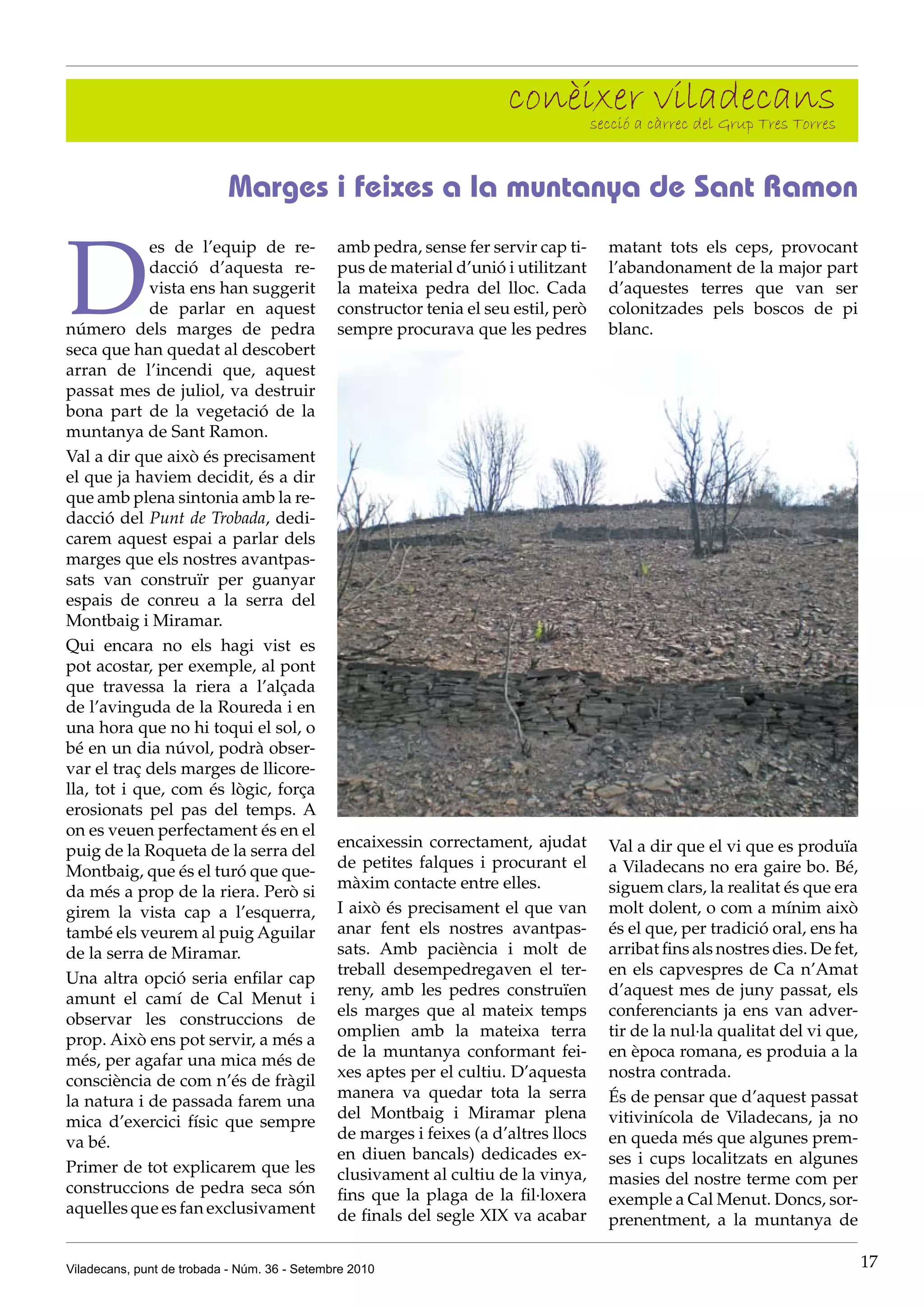 conèixer càrrec del Grup Tres Torres
                                                                           secció a
                                                                                    viladecans

                           Marges i feixes a la muntanya de Sant Ramon


D
             es de l’equip de re-             amb pedra, sense fer servir cap ti-    matant tots els ceps, provocant
             dacció d’aquesta re-             pus de material d’unió i utilitzant    l’abandonament de la major part
             vista ens han suggerit           la mateixa pedra del lloc. Cada        d’aquestes terres que van ser
             de parlar en aquest              constructor tenia el seu estil, però   colonitzades pels boscos de pi
número dels marges de pedra                   sempre procurava que les pedres        blanc.
seca que han quedat al descobert
arran de l’incendi que, aquest
passat mes de juliol, va destruir
bona part de la vegetació de la
muntanya de Sant Ramon.
Val a dir que això és precisament
el que ja haviem decidit, és a dir
que amb plena sintonia amb la re-
dacció del Punt de Trobada, dedi-
carem aquest espai a parlar dels
marges que els nostres avantpas-
sats van construïr per guanyar
espais de conreu a la serra del
Montbaig i Miramar.
Qui encara no els hagi vist es
pot acostar, per exemple, al pont
que travessa la riera a l’alçada
de l’avinguda de la Roureda i en
una hora que no hi toqui el sol, o
bé en un dia núvol, podrà obser-
var el traç dels marges de llicore-
lla, tot i que, com és lògic, força
erosionats pel pas del temps. A
on es veuen perfectament és en el
                                              encaixessin correctament, ajudat       Val a dir que el vi que es produïa
puig de la Roqueta de la serra del
                                              de petites falques i procurant el      a Viladecans no era gaire bo. Bé,
Montbaig, que és el turó que que-
                                              màxim contacte entre elles.            siguem clars, la realitat és que era
da més a prop de la riera. Però si
girem la vista cap a l’esquerra,              I això és precisament el que van       molt dolent, o com a mínim això
també els veurem al puig Aguilar              anar fent els nostres avantpas-        és el que, per tradició oral, ens ha
de la serra de Miramar.                       sats. Amb paciència i molt de          arribat fins als nostres dies. De fet,
                                              treball desempedregaven el ter-        en els capvespres de Ca n’Amat
Una altra opció seria enfilar cap
                                              reny, amb les pedres construïen        d’aquest mes de juny passat, els
amunt el camí de Cal Menut i
                                              els marges que al mateix temps         conferenciants ja ens van adver-
observar les construccions de
                                              omplien amb la mateixa terra           tir de la nul·la qualitat del vi que,
prop. Això ens pot servir, a més a
                                              de la muntanya conformant fei-         en època romana, es produia a la
més, per agafar una mica més de
                                              xes aptes per el cultiu. D’aquesta     nostra contrada.
consciència de com n’és de fràgil
                                              manera va quedar tota la serra         És de pensar que d’aquest passat
la natura i de passada farem una
                                              del Montbaig i Miramar plena           vitivinícola de Viladecans, ja no
mica d’exercici físic que sempre
                                              de marges i feixes (a d’altres llocs   en queda més que algunes prem-
va bé.
                                              en diuen bancals) dedicades ex-        ses i cups localitzats en algunes
Primer de tot explicarem que les              clusivament al cultiu de la vinya,     masies del nostre terme com per
construccions de pedra seca són               fins que la plaga de la fil·loxera     exemple a Cal Menut. Doncs, sor-
aquelles que es fan exclusivament             de finals del segle XIX va acabar      prenentment, a la muntanya de

Viladecans, punt de trobada - Núm. 36 - Setembre 2010                                                                         17
 