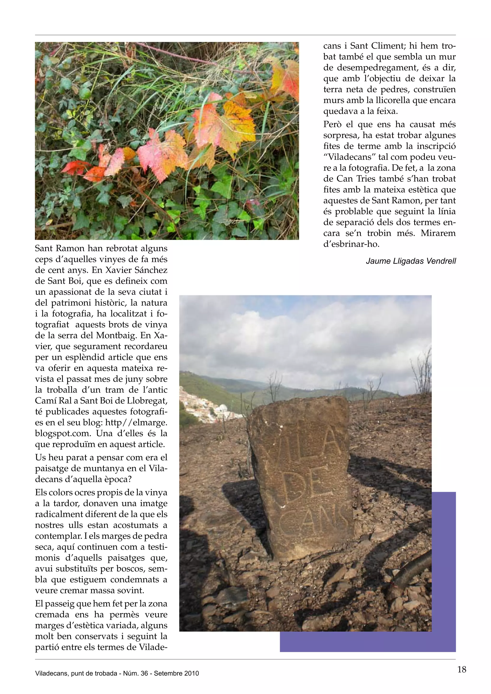 cans i Sant Climent; hi hem tro-
                                                        bat també el que sembla un mur
                                                        de desempedregament, és a dir,
                                                        que amb l’objectiu de deixar la
                                                        terra neta de pedres, construïen
                                                        murs amb la llicorella que encara
                                                        quedava a la feixa.
                                                        Però el que ens ha causat més
                                                        sorpresa, ha estat trobar algunes
                                                        fites de terme amb la inscripció
                                                        “Viladecans” tal com podeu veu-
                                                        re a la fotografia. De fet, a la zona
                                                        de Can Tries també s’han trobat
                                                        fites amb la mateixa estètica que
                                                        aquestes de Sant Ramon, per tant
                                                        és problable que seguint la línia
                                                        de separació dels dos termes en-
                                                        cara se’n trobin més. Mirarem
Sant Ramon han rebrotat alguns                          d’esbrinar-ho.
ceps d’aquelles vinyes de fa més                                   Jaume Lligadas Vendrell
de cent anys. En Xavier Sánchez
de Sant Boi, que es defineix com
un apassionat de la seva ciutat i
del patrimoni històric, la natura
i la fotografia, ha localitzat i fo-
tografiat aquests brots de vinya
de la serra del Montbaig. En Xa-
vier, que segurament recordareu
per un esplèndid article que ens
va oferir en aquesta mateixa re-
vista el passat mes de juny sobre
la troballa d’un tram de l’antic
Camí Ral a Sant Boi de Llobregat,
té publicades aquestes fotografi-
es en el seu blog: http//elmarge.
blogspot.com. Una d’elles és la
que reproduïm en aquest article.
Us heu parat a pensar com era el
paisatge de muntanya en el Vila-
decans d’aquella època?
Els colors ocres propis de la vinya
a la tardor, donaven una imatge
radicalment diferent de la que els
nostres ulls estan acostumats a
contemplar. I els marges de pedra
seca, aquí continuen com a testi-
monis d’aquells paisatges que,
avui substituïts per boscos, sem-
bla que estiguem condemnats a
veure cremar massa sovint.
El passeig que hem fet per la zona
cremada ens ha permès veure
marges d’estètica variada, alguns
molt ben conservats i seguint la
partió entre els termes de Vilade-

Viladecans, punt de trobada - Núm. 36 - Setembre 2010                                           18
 