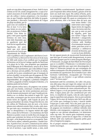 quals un cop plens desguassen al mar. Amb la terra
extreta en fer els canals (imaginem-ho: a cops d’ai-
xada!) aixecaren el nivell dels camps fent-los aptes
per als cultius i menys propensos a les inundaci-
ons, ja que l’àmplia superfície del delta té poquís-
sim pendent, i afavoreix l’estancament de l’aigua
de pluja recollida, per la
qual cosa cal conduir-la
fins al mar. I si la terra
que treien no era sufici-
ent, en portaven d’altres
bandes. Una feina in-
gent, i més quan aquells
terrenys no eren seus,
sinó dels hisendats que
es quedaven part del
fruit de tot aquell esforç.
Significatiu del senti-
ment que això darrer
provocava és l’escrit que
l’ajuntament de Vilade-
cans va publicar com a suplement del Diario Consti-
tucional Político y Mercantil de Barcelona el 14 de març
de 1822 amb motiu d’un conflicte per la propietat
del terreny on hi havia l’antiga capella de Sant Joan
a la plaça de la Vila, una propietat que pretenien
tant el Marquès de la Manresana, senyor de la Torre
del Baró, com l’ajuntament, que volia utilitzar l’espai
per a diversos serveis públics. En l’escrit, en efecte,
es parla de la poca consideració que el marquès té
envers el poble, i es recorda que els pagesos de Vila-
decans i Sant Climent “con afanes, trabajos, y fatigas
imponderables, de cenagales y pantanos redujeron
á cultivo, pagando al dicho marqués el diezmo, y la
séptima parte de los frutos”.
Amb aquesta àrdua tasca, els pagesos van aconse-
guir, per una banda, començar a eradicar la plaga
del paludisme que les terres pantanoses provoca-
ven de manera permanent, tot i que l’eradicació de-
finitiva no va arribar fins entrat el segle XX. I per
una altra, aconseguir que les noves terres de cultiu
fossin terres de regadiu, amb l’ajuda de pous de
poca profunditat i de sínies. Perquè fins llavors, tots
els cultius de Viladecans eren de secà: a les terres
planes eren sobretot cereals: blat, civada, ordi; men-
tre que més cap a muntanya hi havia molta vinya,
que va desaparèixer a la segona meitat del segle
XIX a causa de la fil·loxera –a la muntanya de Sant
Ramon es poden veure en molts llocs els marges de
pedra que sostenien les feixes on hi havia plantats
els ceps–, si bé després en part es va recuperar. Tam-
bé hi havia arbres, sobretot garrofers, i també frui-
ters. A partir d’ara, en canvi, comencen ja els cultius
d’horta que seran els que esdevindran característics
de tot el territori, i que també seran, a més, molt
més rendibles econòmicament. Igualment comen-
çarà l’expansió dels arbres fruiters, gràcies al fet de
tenir ara molt més espai. Els cultius d’horta, però,
no aconseguiran ser definitivament majoritaris fins
a principis del segle XX, quan es començaran a fer
pous artesians, tant a les terres altes de secà, que
eren terres fèrtils i així
esdevenien unes magní-
fiques terres de regadiu,
com a les terres més bai-
xes, que ja eren en part
de regadiu, però que
així tenien l’aigua més
abundant i assegurada;
l’aigua dels pous primer
s’extreia amb bombes
d’accionament manual i
sínies, però ben aviat va
començar a utilitzar-se
el motor de benzina, que
va ser ja el pas definitiu.
En tot aquest procés de reconversió hortofrutícola
que farà que el cereal acabi desapareixent, és prou
recordat el paper que hi va tenir Joaquim Marieges,
el Tomacaire, un pagès de Sant Martí de Provençals
que es va establir a Viladecans i va introduir noves
tècniques agrícoles que aquí eren desconegudes; li
deien el Tomacaire perquè era qui aconseguia els
millors tomàquets i els més primerencs. I també són
recordades les aportacions de la família Gusi i dels
Germans Gabrielistes, encapçalats per l’hermanu
Augusto, que era francès i a qui tothom coneixia
com l’“hermanu pagès”.
Juntament amb les corredores, els valls i els pous,
una altra peça clau per regar els camps van ser els
xupets. Són unes construccions quadrangulars, que
utilitzen un sistema de vasos comunicants per  dis-
tribuir l’aigua o, si cal, per portar-la cap a zones més
altes. L’aigua passa per una canalització per sota
terra, va omplint els xupets, i des de cada xupet es
rega la superfície més propera. Així es pot controlar
l’aigua, fer-la anar de manera més fàcil cap allà on
cal, evitar que s’endugui la terra, i marcar també
l’espai per a cada cultiu. Val a dir, però, que els xu-
pets cada cop són menys utilitzats per regar, perquè
els pagesos ara tendeixen a utilitzar mètodes més
directes, com mangueres o aspersors, i per tant els
xupets es van deixant abandonats i es deterioren
cada cop més. No estaria gens malament recupe-
rar-ne alguns i posar-los en algun lloc a l’abast de
tothom amb una explicació d’aquesta petita gran
obra d’enginyeria pagesa...
En el proper número continuarem i acabarem el
nostre recorregut.
Josep Lligadas Vendrell
Viladecans Punt de Trobada - Núm. 55 - Maig 2012 23
 