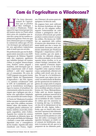Com és l’agricultura a Viladecans?

H
             i ha força desconei-            sos, Llimosos i de sorres quan ens
             xement de l’agricul-            apropem a la línia de costa.
             tura que es practica            Els pagesos hem anat cultivant
             al Baix Llobregat, i            les diverses hortalisses als tipus
en concret a Viladecans. Potser              de sòls on s’hi adapten millor,
aquest fet sigui donat perquè des            seguint l’estacionalitat de cada
del mateix sector no l’hem sabut             varietat o protegint-lo amb es-
obrir prou als ciutadans que te-             tructures d’hivernacle per poder
nim tan a prop de les nostres ex-            produir a contra-estació i avançar
plotacions agràries. Però crec que           les collites. Els tècnics de l’ADV
seria interessant que es conegués            fan un seguiment dels cultius
la varietat de cultius que s’hi fan          d’exterior per determinar el mo-
i les tècniques que apliquem per             ment òptim per dur a terme els
fer una agricultura respectuosa              tractaments necessaris amb pro-
amb el medi que ens envolta.                 ductes autoritzats per Producció
Els professionals que ens hi dedi-           Integrada i respectuosos amb la
quem estem associats a una ADV               fauna auxiliar, que ens ajuda a
(Agrupació de Defensa Vegetal)               controlar les diferents plagues.
amb dos enginyers agrònoms                   En cultius protegits, en no existir
que treballen perquè els nostres             aquesta fauna auxiliar, es fa un
cultius es puguin desenvolupar               control biològic introduint dife-
sans, lluitant contra plagues i              rents espècies d’insectes depre-
malalties, amb tècniques que si-             dadors o paràsits a fi de trobar
guin respectuoses amb el medi                l’equilibri entre espècies benefi-
ambient i amb total seguretat                cioses i perjudicials, obtenint així
per al consumidor. Els socis de              collites amb nivell zero de resi-
l’ADV paguem una quota i tenim               dus. Pel que fa a la fertilització,
també l’ajuda del Departament                l’any passat vam signar dos con-
d’Agricultura i del Parc Agrari,             venis: un amb la Junta de Residus
i la constant col·laboració amb              per fer aportacions de matèria or-
la UPC de Castelldefels, per tal             gànica als camps amb el compost
que la transferència tecnològica             que es genera de la transformació
sigui la manera d’actualitzar els            de la recollida selectiva d’escom-
coneixements sobre les noves tèc-            braries de l’Àrea Metropolitana;
niques que s’apliquen per dur a              l’altre amb un doctor enginyer
terme una agricultura adaptada               agrònom, professor associat de la
a les necessitats del nostre temps.          Universitat de Lleida, especialit-
A l’horta de Viladecans hi podem             zat en fertilitat de sòls i nutrició
trobar una gran varietat de cultius          de cultius que ens assessora en
com: apis, cols, coliflors, enciams,         el maneig del reg i la fertilitza-
bledes, cebes, alls tendres, faves,          ció des de la interpretació de les
mongetes, pèsols, carbassons, car-           anàlisis de sòls, aigües, fulles i
basses, xíndries, escarxofes, tomà-          fruits, que en funció dels resul-
quets, cogombres, entre d’altres.            tats fem l’aportació dels diferents
Aquesta rica varietat de conreus             nutrients segons les necessitats
és plantada en diferents tipus de            d’extracció de les plantes en cada
sòls, propis del Delta de Llobregat          fase del cultiu i aconseguir amb
i formats a causa dels sediments             aquestes tècniques un estalvi en
dipositats com a conseqüència                el consum de fertilitzants, man-
de les riuades. Aquests sòls estan           tenir la textura del sòl, que és la
classificats com Francs, Argilo-             proporció de les diferents partí-


Viladecans Punt de Trobada - Núm. 62 - Gener 2013                                   7
 