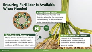 Ensuring Fertilizer is Available
When Needed
Confidential 4
Plant-Based Release
RhizoSorb® releases P based on plant
dependent factors rather than environmental
conditions allowing the plant to utilize more
applied nutrients during the growing season.
Soil Chemistry Approach
Majority of applied phosphates are quickly tied up
in the soil making them unavailable for plant
uptake. RhizoSorb® acts a reversible reservoir
avoiding tie up while decreasing nutrient leaching.
Anionic Exchange Capacity
RhizoSorb® is the first technology that
increases Anionic Exchange Capacity to
promote more efficient nutrient exchange
around the root zone.
 