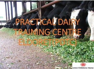 PRACTICAL DAIRY TRAINING CENTRE ELDORET(PDTC)  