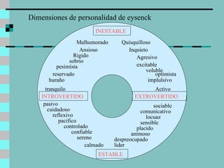 Dimensiones de personalidad de eysenck INESTABLE EXTROVERTIDO  ESTABLE INTROVERTIDO Malhumorado Ansioso Rigido sobrio pesimista reservado huraño tranquilo Quisquilloso Inquieto Agresivo excitable voluble implulsivo optimista Activo sociable comunicativo locuaz sensible placido animoso despreocupado lider pasivo cuidadoso reflexivo pacifico controlado confiable sereno calmado 