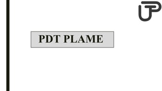 PDT PLAME
 