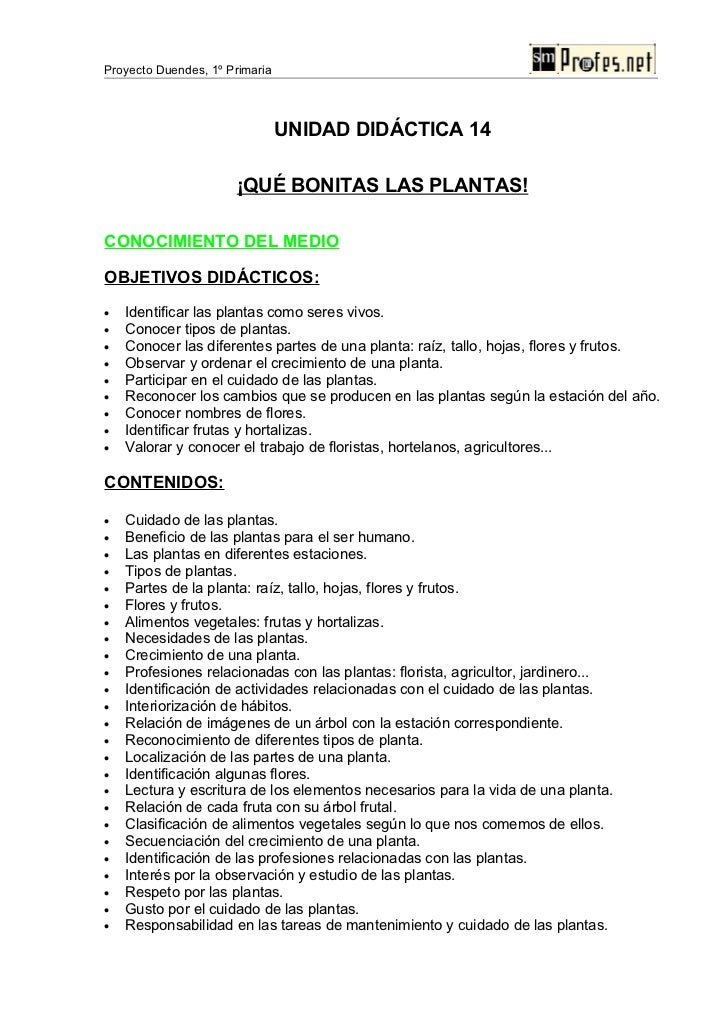 Unidad Didáctica-!Que bonitas las plantas!