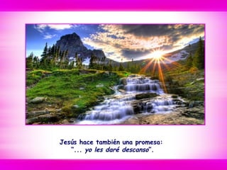 Jesús hace también una promesa:
“... yo les daré descanso”.
 