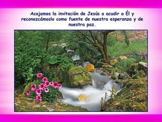 Acojamos la invitación de Jesús a acudir a Él y
reconozcámoslo como fuente de nuestra esperanza y de
nuestra paz.
 