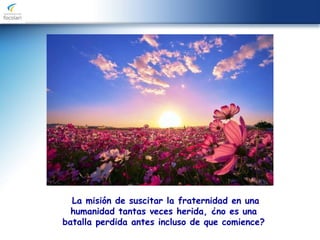 La misión de suscitar la fraternidad en una
humanidad tantas veces herida, ¿no es una
batalla perdida antes incluso de que comience?
 