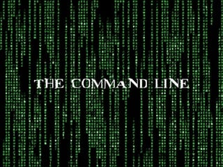 THE COMMAND LINE
 