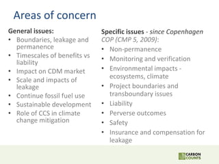 Areas of concern
General issues:
• Boundaries, leakage and
permanence
• Timescales of benefits vs
liability
• Impact on CD...