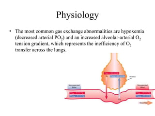Physiology
• The most common gas exchange abnormalities are hypoxemia
(decreased arterial PO2) and an increased alveolar-arterial O2
tension gradient, which represents the inefficiency of O2
transfer across the lungs.
 