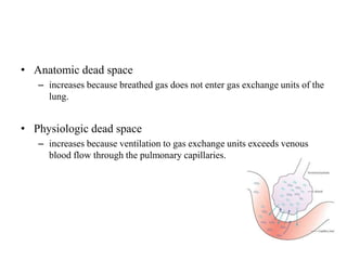 • Anatomic dead space
– increases because breathed gas does not enter gas exchange units of the
lung.
• Physiologic dead space
– increases because ventilation to gas exchange units exceeds venous
blood flow through the pulmonary capillaries.
 