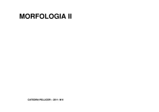 MORFOLOGIA II




  CATEDRA PELLICER ˘ 2011− M II
 