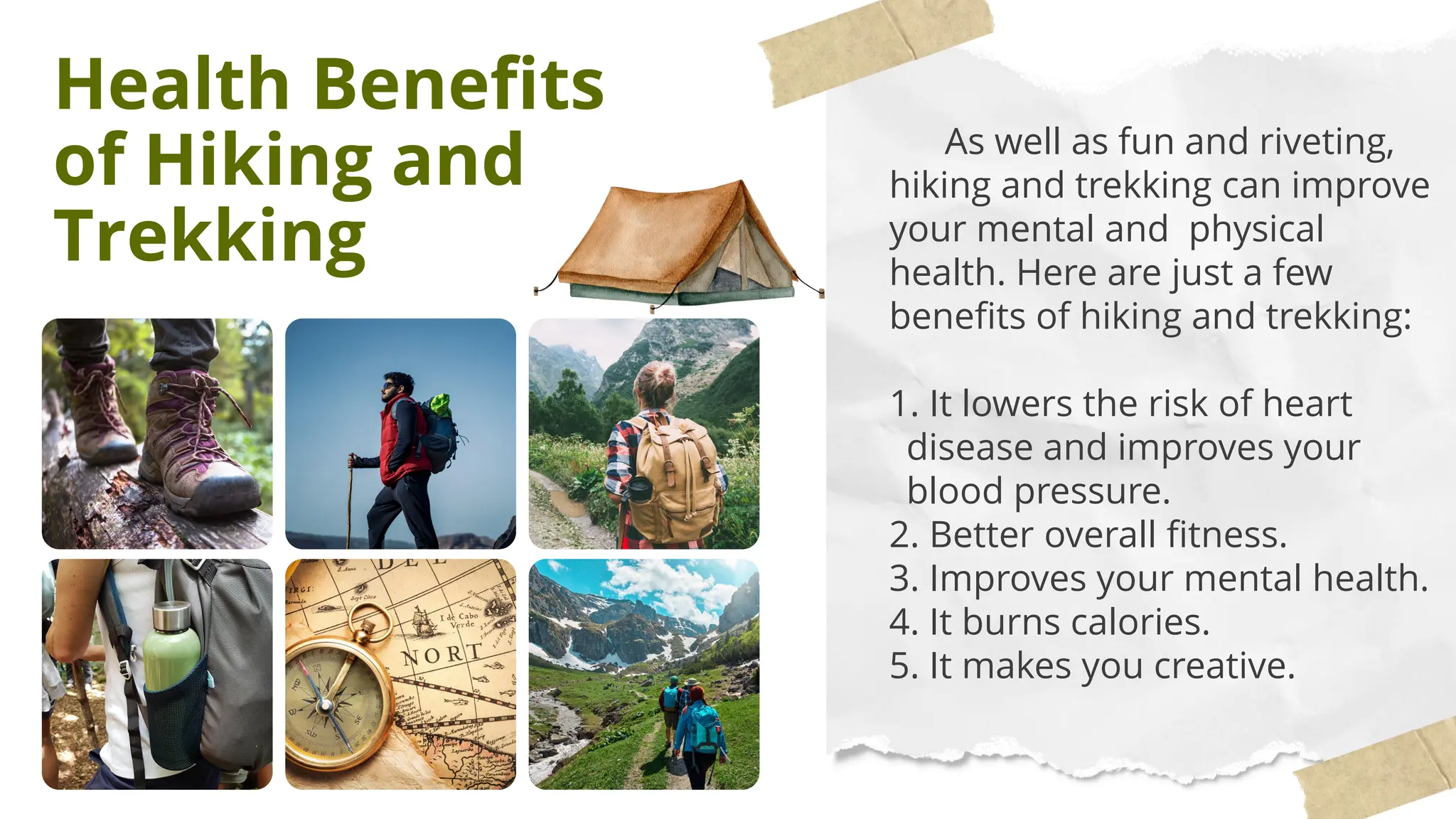 Health Benefits
of Hiking and
Trekking
As well as fun and riveting,
hiking and trekking can improve
your mental and physical
health. Here are just a few
benefits of hiking and trekking:
1. It lowers the risk of heart
disease and improves your
blood pressure.
2. Better overall fitness.
3. Improves your mental health.
4. It burns calories.
5. It makes you creative.
 