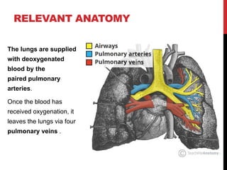 The lungs are supplied
with deoxygenated
blood by the
paired pulmonary
arteries.
Once the blood has
received oxygenation, it
leaves the lungs via four
pulmonary veins .
RELEVANT ANATOMY
 