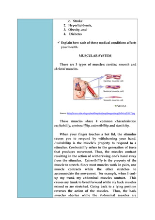 c. Stroke 
2. Hyperlipidemia, 
3. Obesity, and 
4. Diabetes 
 Explain how each of these medical conditions affects your health. 
MUSCULAR SYSTEM 
There are 3 types of muscles: cardiac, smooth and skeletal muscles. 
Source: http://www.nlm.nih.gov/medlineplus/ency/images/ency/fullsize/19917.jpg 
These muscles share 4 common characteristics: excitability, contractility, extensibility and elasticity. 
When your finger touches a hot lid, the stimulus causes you to respond by withdrawing your hand. Excitability is the muscle‟s property to respond to a stimulus. Contractility refers to the generation of force that produces movement. Thus, the muscles contract resulting in the action of withdrawing one‟s hand away from the stimulus. Extensibility is the property of the muscle to stretch. Since most muscles work in pairs, one muscle contracts while the other stretches to accommodate the movement. For example, when I curl- up my trunk my abdominal muscles contract. This causes my trunk to bend forward while my back muscles extend or are stretched. Going back to a lying position reverses the action of the muscles. Thus, the back muscles shorten while the abdominal muscles are  