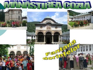 MĂNĂSTIREA COZIA Fantana  dorinţelor 
