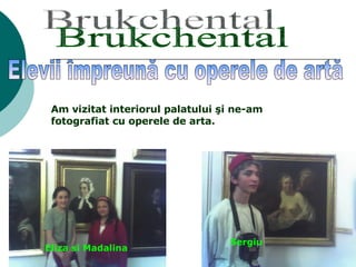 Eliza si Madalina Sergiu   Brukchental Elevii împreună cu operele de artă Am vizitat interiorul palatului şi ne-am fotografiat cu operele de arta. 