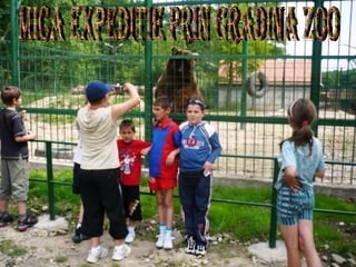 Mica expeditie prin gradina zoo 