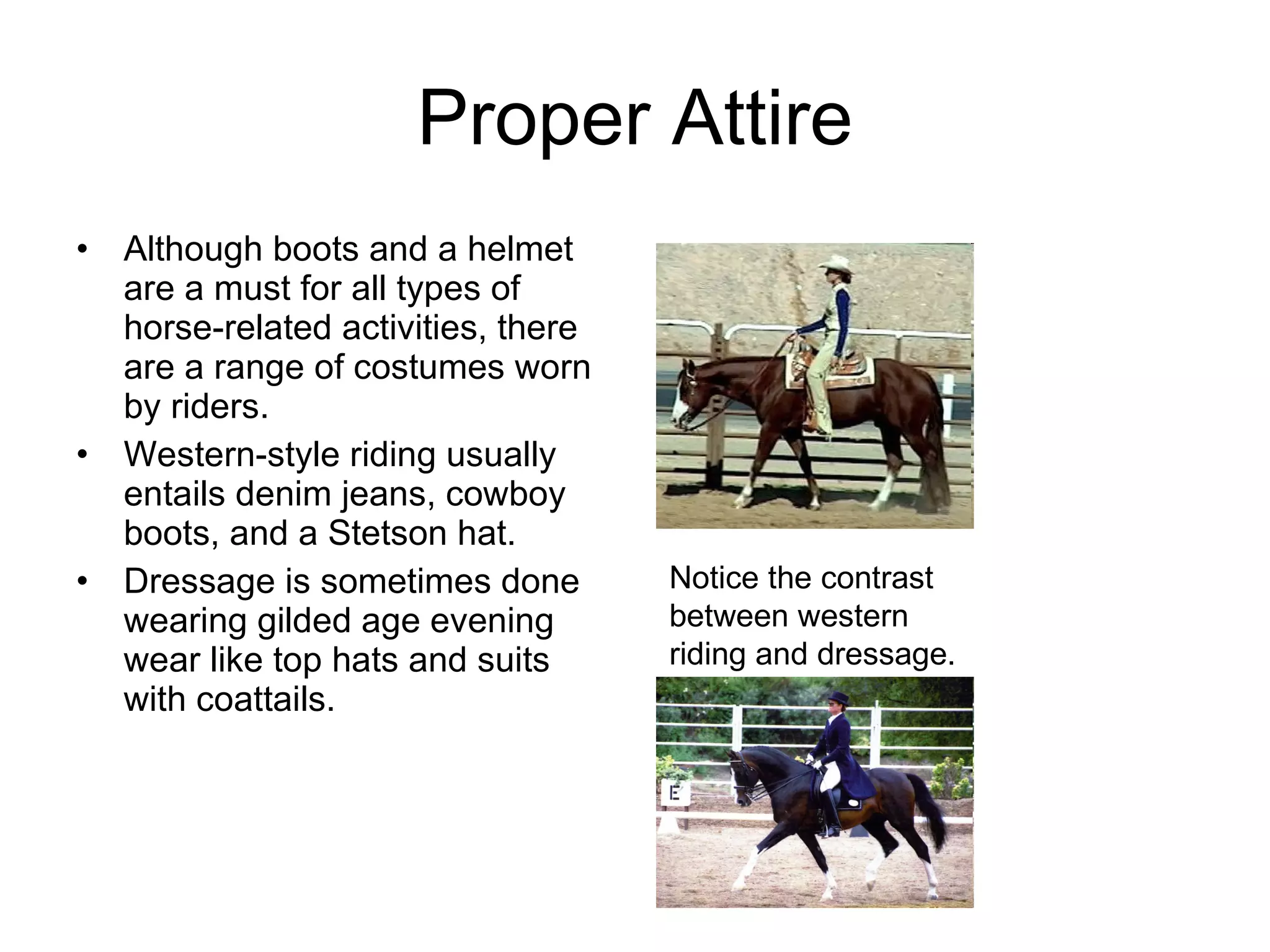 Proper Riding Attire Lesson Finn's Horseback Riding Presentation | PPT