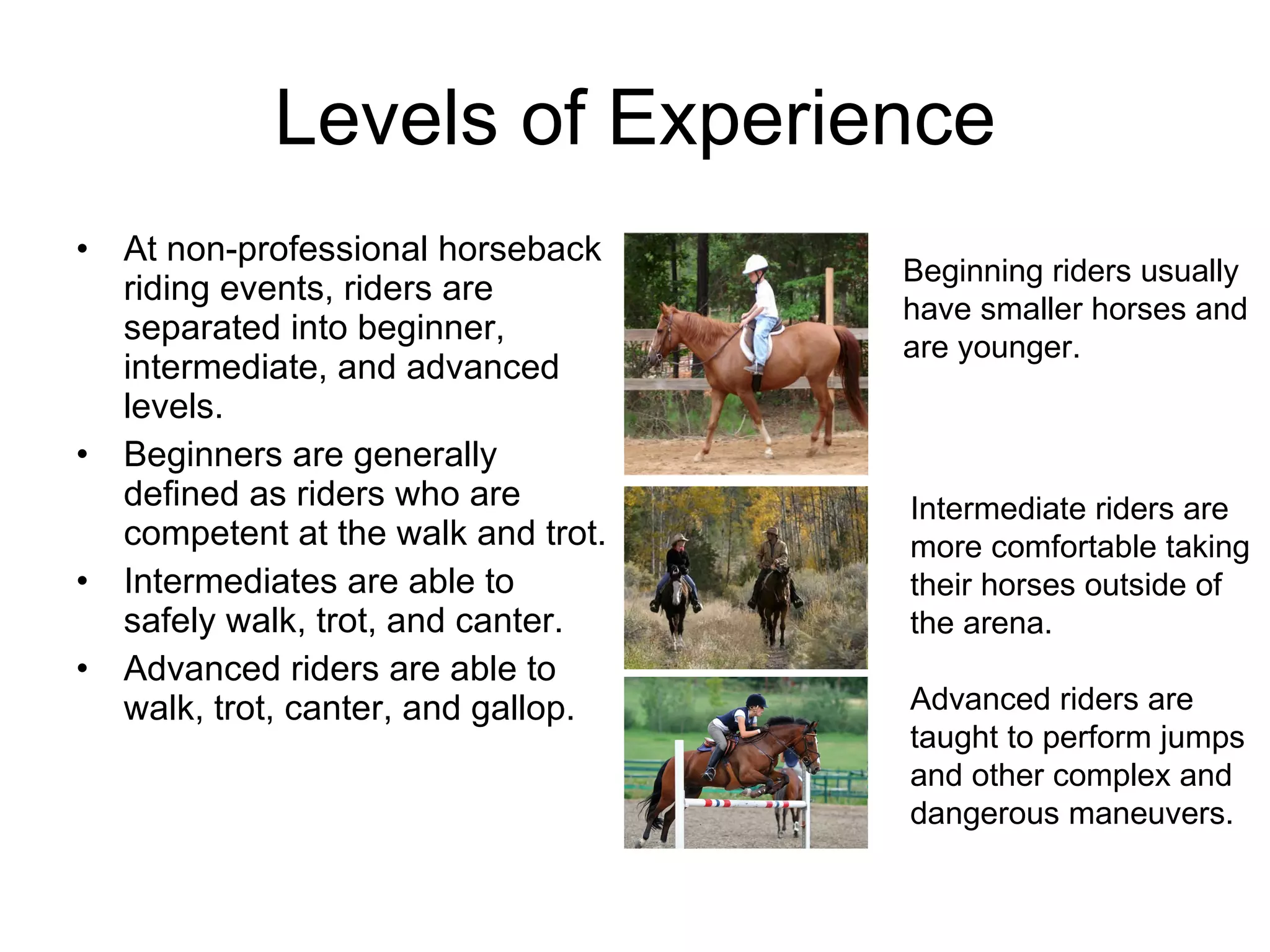 Intermediate Rides Finn's Horseback Riding Presentation | PPT