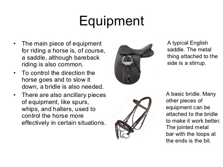 Finn's Horseback Riding Presentation