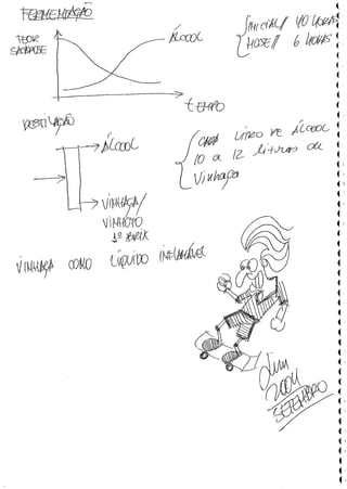 PE 131 Fontes Renováveis de Energia