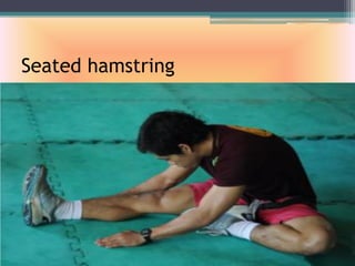 Seated hamstring
 
