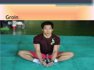 Groin
 