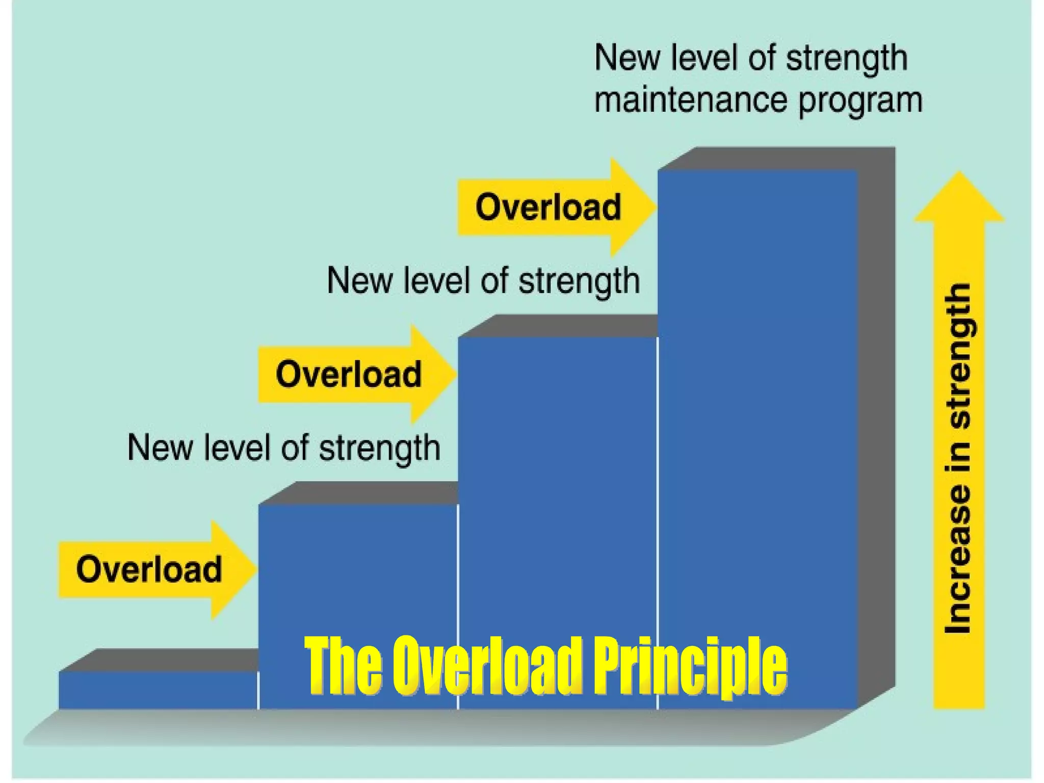 The Overload Principle Figure 11.4 The Overload Principle 