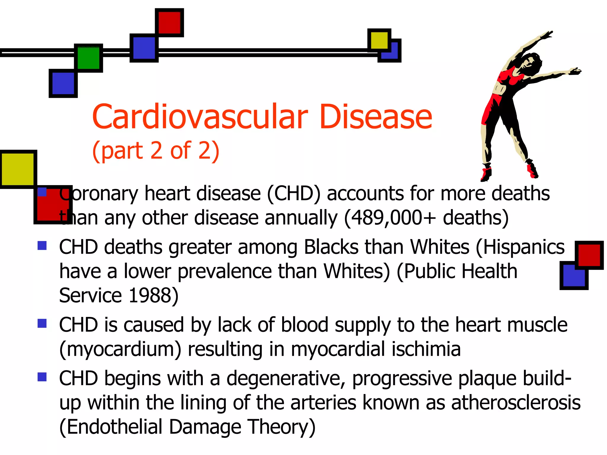 Cardiovascular Disease (part 2 of 2) Coronary heart disease (CHD) accounts for more deaths than any other disease annually (489,000+ deaths) CHD deaths greater among Blacks than Whites (Hispanics have a lower prevalence than Whites) (Public Health Service 1988) CHD is caused by lack of blood supply to the heart muscle (myocardium) resulting in myocardial ischimia CHD begins with a degenerative, progressive plaque build-up within the lining of the arteries known as atherosclerosis (Endothelial Damage Theory) 