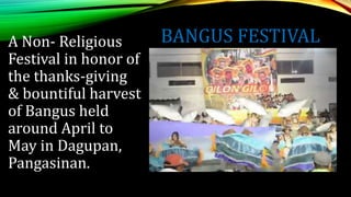 BANGUS FESTIVAL
A Non- Religious
Festival in honor of
the thanks-giving
& bountiful harvest
of Bangus held
around April to
May in Dagupan,
Pangasinan.
 