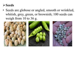 Seeds
• Seeds are globose or angled, smooth or wrinkled,
whitish, grey, green, or brownish; 100 seeds can
weigh from 10 to 36 g.
 