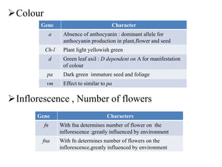 Colour
Inflorescence , Number of flowers
Gene Character
a Absence of anthocyanin : dominant allele for
anthocyanin production in plant,flower and seed
Ch-l Plant light yellowish green
d Green leaf axil : D dependent on A for manifestation
of colour
pa Dark green immature seed and foliage
vm Effect to similar to pa
Gene Characters
fn With fna determines number of flower on the
inflorescence :greatly influenced by environment
fna With fn determines number of flowers on the
inflorescence,greatly influenced by environment
 