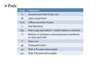 Pods
Gene Character
it Increases pod with 25 per cent
Bt Apex of pod blunt
Com Affects curvature of pods
n Pod Wall thick
Dpo Pods tough and leathery : readily dehisce at maturity
P Reduces or eliminates sclerenchymatous membrane
on inner pod walls
V Same as p
gp Young pod yellow
pu With A Pur pod colour purple
pur With A Pu pod colour purple
 