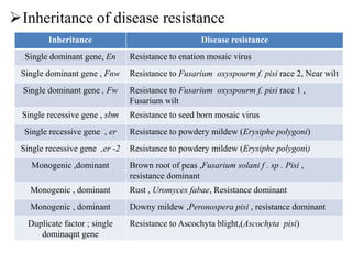 Inheritance of disease resistance
Inheritance Disease resistance
Single dominant gene, En Resistance to enation mosaic virus
Single dominant gene , Fnw Resistance to Fusarium oxyspourm f. pisi race 2, Near wilt
Single dominant gene , Fw Resistance to Fusarium oxyspourm f. pisi race 1 ,
Fusarium wilt
Single recessive gene , sbm Resistance to seed born mosaic virus
Single recessive gene , er Resistance to powdery mildew (Erysiphe polygoni)
Single recessive gene ,er -2 Resistance to powdery mildew (Erysiphe polygoni)
Monogenic ,dominant Brown root of peas ,Fusarium solani f . sp . Pisi ,
resistance dominant
Monogenic , dominant Rust , Uromyces fabae, Resistance dominant
Monogenic , dominant Downy mildew ,Peronospera pisi , resistance dominant
Duplicate factor ; single
dominaqnt gene
Resistance to Ascochyta blight,(Ascochyta pisi)
 