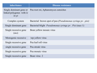 inheritance Disease resistance
Single dominant gene or
linked polygenes with le
or pi
Pea root rot, Aphanomyces euteiches
Complex system Bacterial brown spot of pea (Pseudomonas syringe pv . pisi)
Single dominant gene Bacterial blight Pseudomonas syringe pv . Pisi (race 1)
Single recessive gene
(mo)
Bean yellow mosaic virus
Monogenic recessive top yellow virus
Single recessive gene Pea leaf roll virus
single recessive gene Pea streak virus
Single recessive gene Pea mosaic virus
Single recessive gene Bean virus 2
 