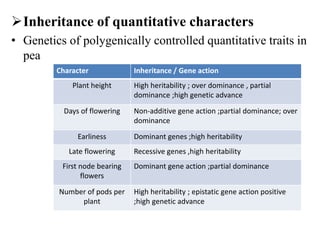 Inheritance of quantitative characters
• Genetics of polygenically controlled quantitative traits in
pea
Character Inheritance / Gene action
Plant height High heritability ; over dominance , partial
dominance ;high genetic advance
Days of flowering Non-additive gene action ;partial dominance; over
dominance
Earliness Dominant genes ;high heritability
Late flowering Recessive genes ,high heritability
First node bearing
flowers
Dominant gene action ;partial dominance
Number of pods per
plant
High heritability ; epistatic gene action positive
;high genetic advance
 