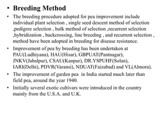 • Breeding Method
• The breeding procedure adopted for pea improvement include
individual plant selection , single seed descent method of selection
,pedigree selection , bulk method of selection ,recurrent selection
,hybridization , backcrossing, line breeding , and recurrent selection ,
method have been adopted in breeding for disease resistance.
• Improvement of pea by breeding has been undertaken at
PAU(Ludhiyana), HAU(Hisar), GBPUAT(Pantnagar),
JNKV(Jabalpur), CSAU(Kanpur), DR.YSPUHF(Solan),
IARI(Delhi), PDVR(Varansi), NDUAT(Faizabad) and VL(Almora).
• The improvement of garden pea in India started much later than
field pea, around the year 1940.
• Initially several exotic cultivars were introduced in the country
mainly from the U.S.A. and U.K.
 