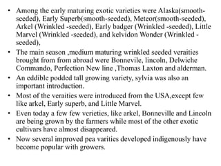 • Among the early maturing exotic varieties were Alaska(smooth-
seeded), Early Superb(smooth-seeded), Meteor(smooth-seeded),
Arkel (Wrinkled -seeded), Early badger (Wrinkled -seeded), Little
Marvel (Wrinkled -seeded), and kelvidon Wonder (Wrinkled -
seeded),
• The main season ,medium maturing wrinkled seeded veraities
brought from from abroad were Bonnevile, lincoln, Delwiche
Commando, Perfection New line ,Thomas Laxton and alderman.
• An eddible podded tall growing variety, sylvia was also an
important introduction.
• Most of the veraities were introduced from the USA,except few
like arkel, Early superb, and Little Marvel.
• Even today a few few verieties, like arkel, Bonneville and Lincoln
are being grown by the farmers while most of the other exotic
cultivars have almost disappeared.
• Now several improved pea varities developed indigenously have
become popular with growers.
 