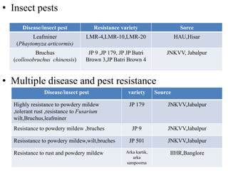 • Insect pests
• Multiple disease and pest resistance
Disease/insect pest Resistance variety Sorce
Leafminer
(Phaytomyza articormis)
LMR-4,LMR-10,LMR-20 HAU,Hisar
Bruchus
(collosobruchus chinensis)
JP 9 ,JP 179, JP JP Batri
Brown 3,JP Batri Brown 4
JNKVV, Jabalpur
Disease/insect pest variety Source
Highly resistance to powdery mildew
,tolerant rust ,resistance to Fusarium
wilt,Bruchus,leafminer
JP 179 JNKVV,Jabalpur
Resistance to powdery mildew ,bruches JP 9 JNKVV,Jabalpur
Resisstance to powdery mildew,wilt,bruches JP 501 JNKVV,Jabalpur
Resistance to rust and powdery mildew Arka kartik,
arka
sampoorna
IIHR,Banglore
 