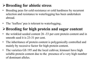 Breeding for abiotic stress
• Breeding peas for cold resistance or cold hardiness by recurrent
selection and resistance to waterlogging has been undertaken
abroad.
• The ‘leafless’ pea is tolerant to waterlogging.
Breeding for high protein and sugar content
• the wrinkled seeded content 26 -33 per cent protein content and in
smooth seed it is 23-31 per cent.
• The inheritance of protein content is polygenically controlled and
mainly by recessive factor for high protein content.
• The varieties GS 195 and the local cultivar, kinnauri have high
soluble protein content due to the presence of a very high number
of dominant alleles.
 