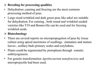  Breeding for processing qualities
• Dehydration ,canning and freezing are the most common
processing method of peas.
• Large sized wrinkled and dark green peas like arkel are suitable
for dehydration, For canning , both round and wrinkled seeded
varieties like T19 and Bonneville can be used and for freezing
wrinkled seeds.
 Biotechnology
• There are several reports on micropropogation of peas by tissue
culture using apical meristems of seedlings ,immature and mature
leaves , axillary buds primary scales and cotyledons.
• Plants could be regenerated by protoplasm through somatic
embriyogenesis.
• For genetic transformation Agrobectarium tumefenciens and
microprojectile had been used.
 