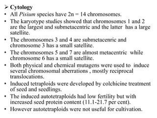  Cytology
• All Pisium species have 2n = 14 chromosomes.
• The karyotype studies showed that chromosomes 1 and 2
are the largest and submetacentric and the latter has a large
satellite.
• The chromosomes 3 and 4 are submetacenric and
chromosome 3 has a small satellite.
• The chromosomes 5 and 7 are almost metacentric while
chromosome 6 has a small satellite.
• Both physical and chemical mutagens were used to induce
several chromosomal aberrations , mostly reciprocal
translocations.
• Induced tetraploids were developed by colchicine treatment
of seed and seedlings.
• The induced autotetraploids had low fertility but with
increased seed protein content (11.1-21.7 per cent).
• However autotetraploids were not useful for cultivation.
 