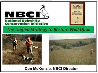 The Unified Strategy to Restore Wild Quail

Don McKenzie, NBCI Director

 