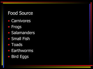 Food Source Carnivores Frogs Salamanders Small Fish Toads Earthworms Bird Eggs