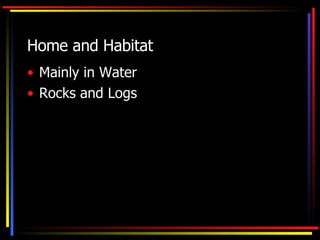 Home and Habitat Mainly in Water Rocks and Logs
